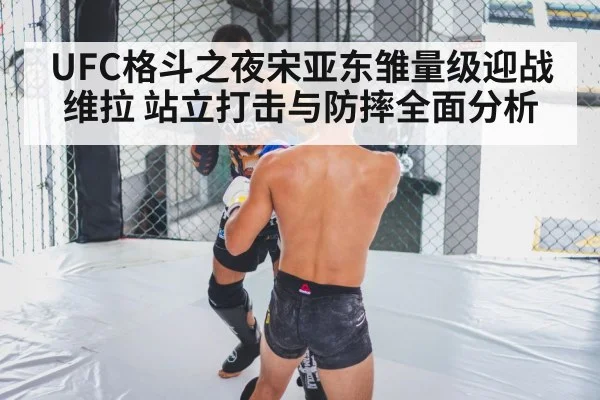UFC格斗之夜宋亚东雏量级迎战维拉 站立打击与防摔全面分析